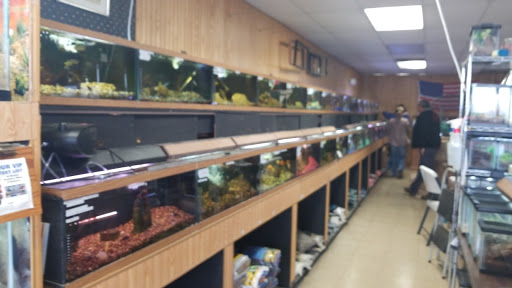 Pet Store «Birds & Beasts Pet Shop», reviews and photos, 35 Berkshire Dr # 18, Crystal Lake, IL 60014, USA