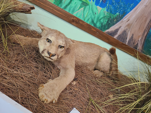 Nature Preserve «Calusa Nature Center & Planetarium», reviews and photos, 3450 Ortiz Ave, Fort Myers, FL 33905, USA