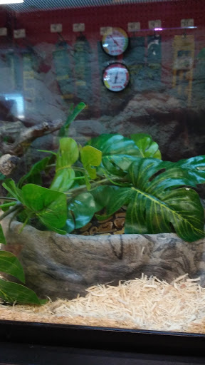 Pet Supply Store «Petco Animal Supplies», reviews and photos, 3731 Gateway Dr, Eau Claire, WI 54701, USA