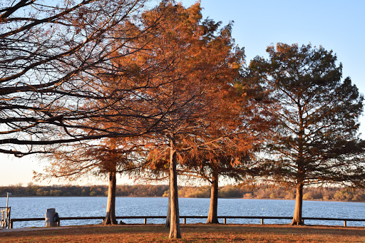Park «Bowman Springs Park», reviews and photos, 7003 W Poly Webb Rd, Arlington, TX 76016, USA