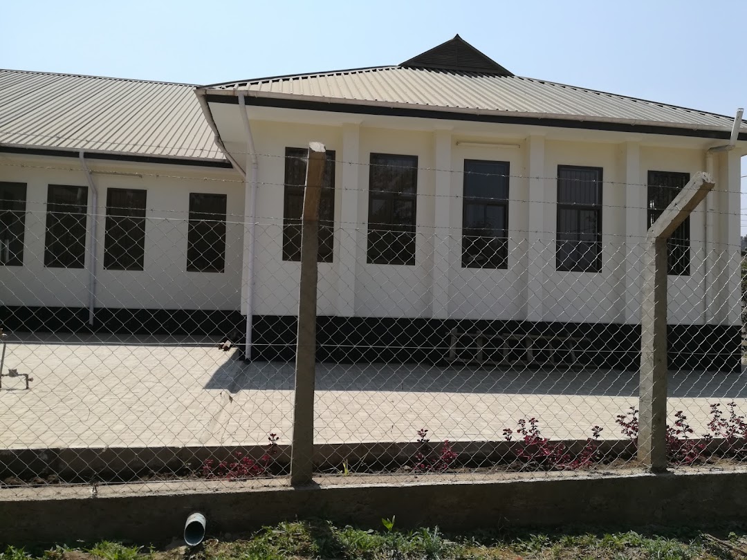 Mahakama ya Vijana Juvenile Court