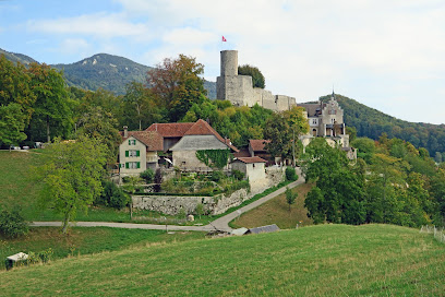 Schloss Bipp