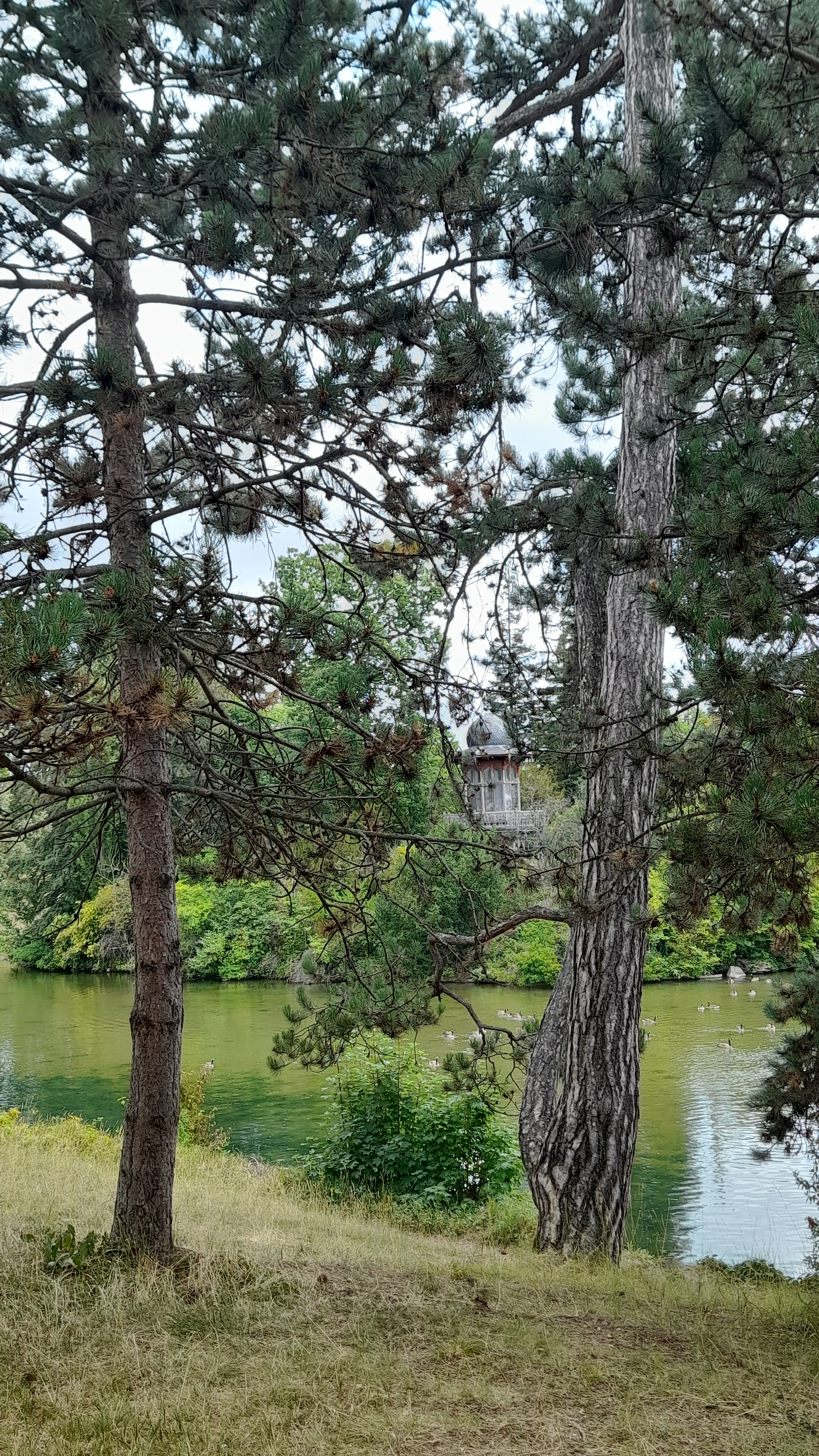 Photo n° 2 de l'avis de Domitienne.� fait le 19/07/2023 à 14:08