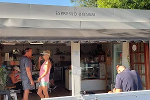 Espresso Bonsai image
