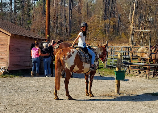Horseback Riding Lesson Smith Mountain Lake