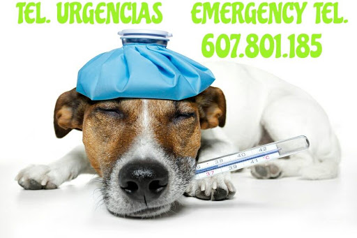 Hospitales y veterinarios de urgencia en Mijas de 2024