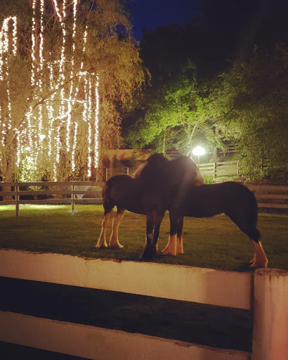 Event Venue «Thomas Farm Weddings and Events», reviews and photos, 519 Tranbarger Rd, Church Hill, TN 37642, USA