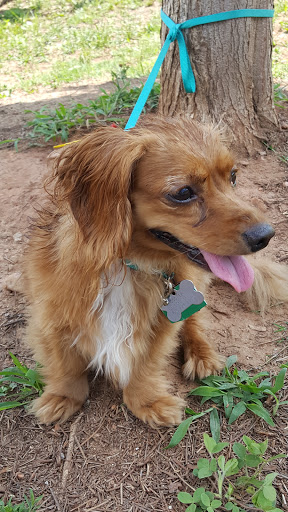 Water Park «Historic Fourth Ward Park Splash Pad», reviews and photos, 800 Dallas St NE, Atlanta, GA 30308, USA
