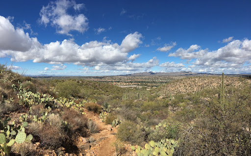 Tourist Attraction «Linda Vista Trail», reviews and photos, 730 E Linda Vista Rd, Oro Valley, AZ 85737, USA