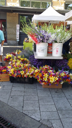 Market «Portland Saturday Market», reviews and photos, 2 SW Naito Pkwy, Portland, OR 97204, USA