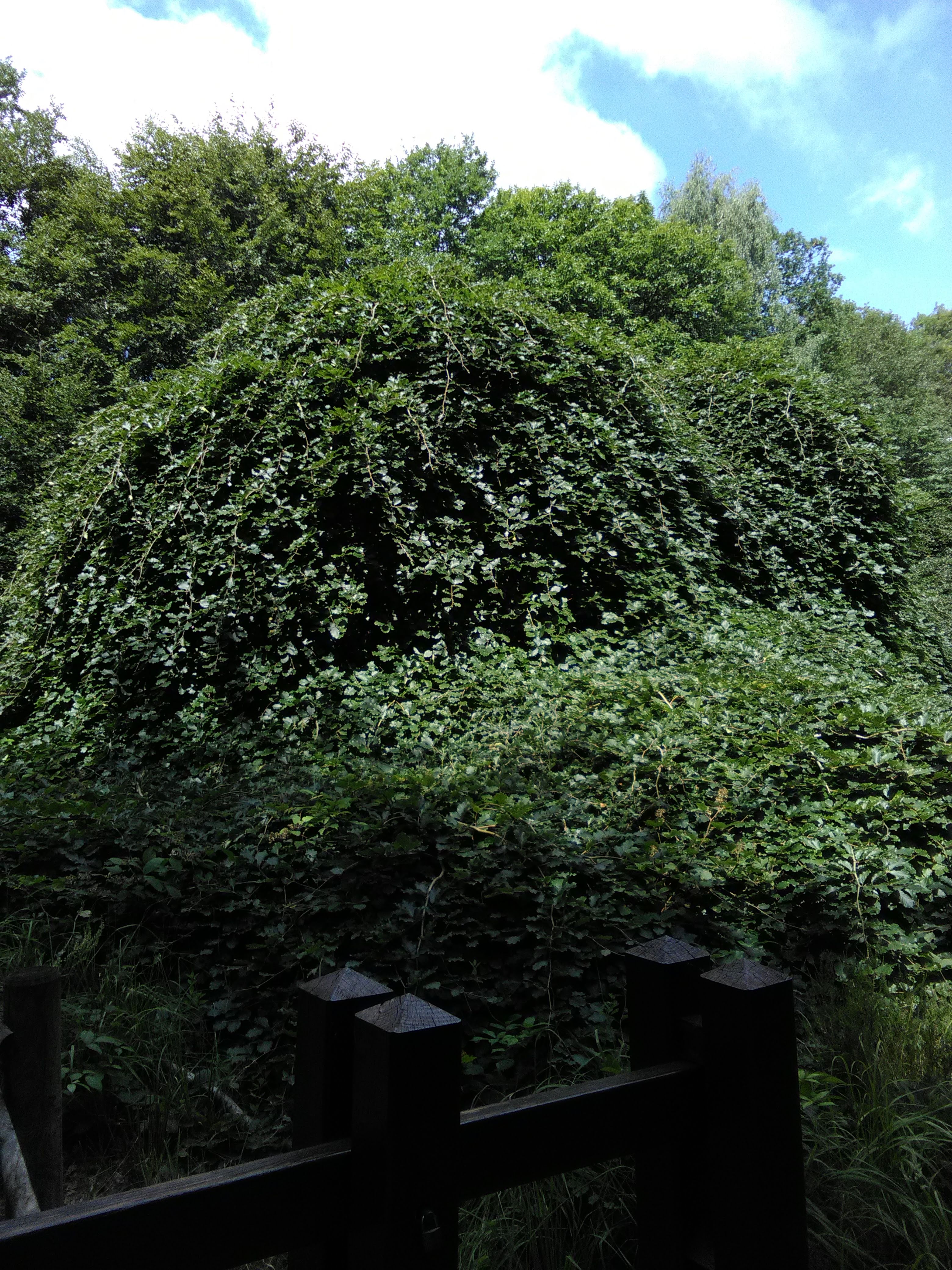 Photo n° 5 de l'avis de janiere.a fait le 11/07/2018 à 17:05