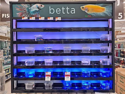 Pet Supply Store «Pet Supplies Plus», reviews and photos, 29402 Woodward Ave, Royal Oak, MI 48073, USA