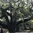 Manatee Park