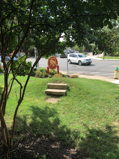 Brunch Restaurant «Frothy Monkey», reviews and photos, 125 5th Ave S, Franklin, TN 37064, USA