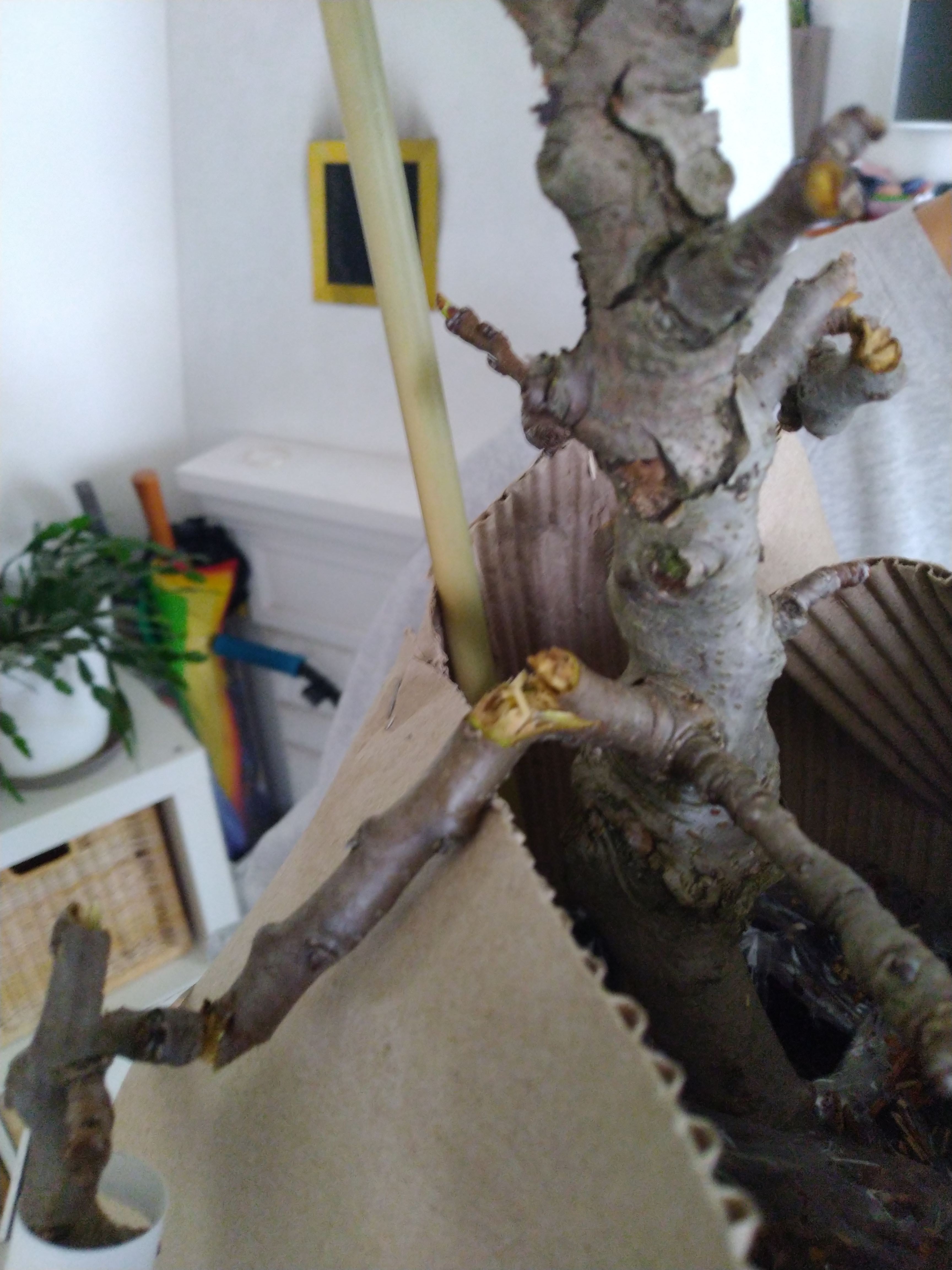 Photo n° 6 de l'avis de Séverine.a fait le 24/03/2023 à 16:51