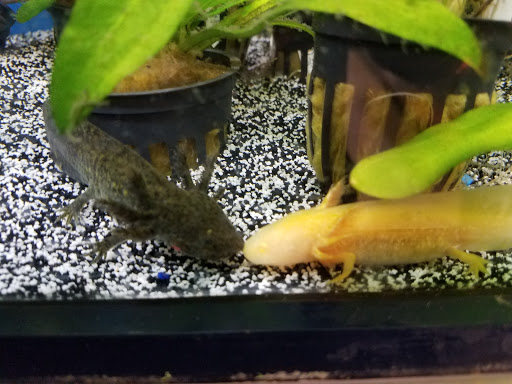 Pet Supply Store «Petco Animal Supplies», reviews and photos, 10 Sylvan St, Peabody, MA 01960, USA