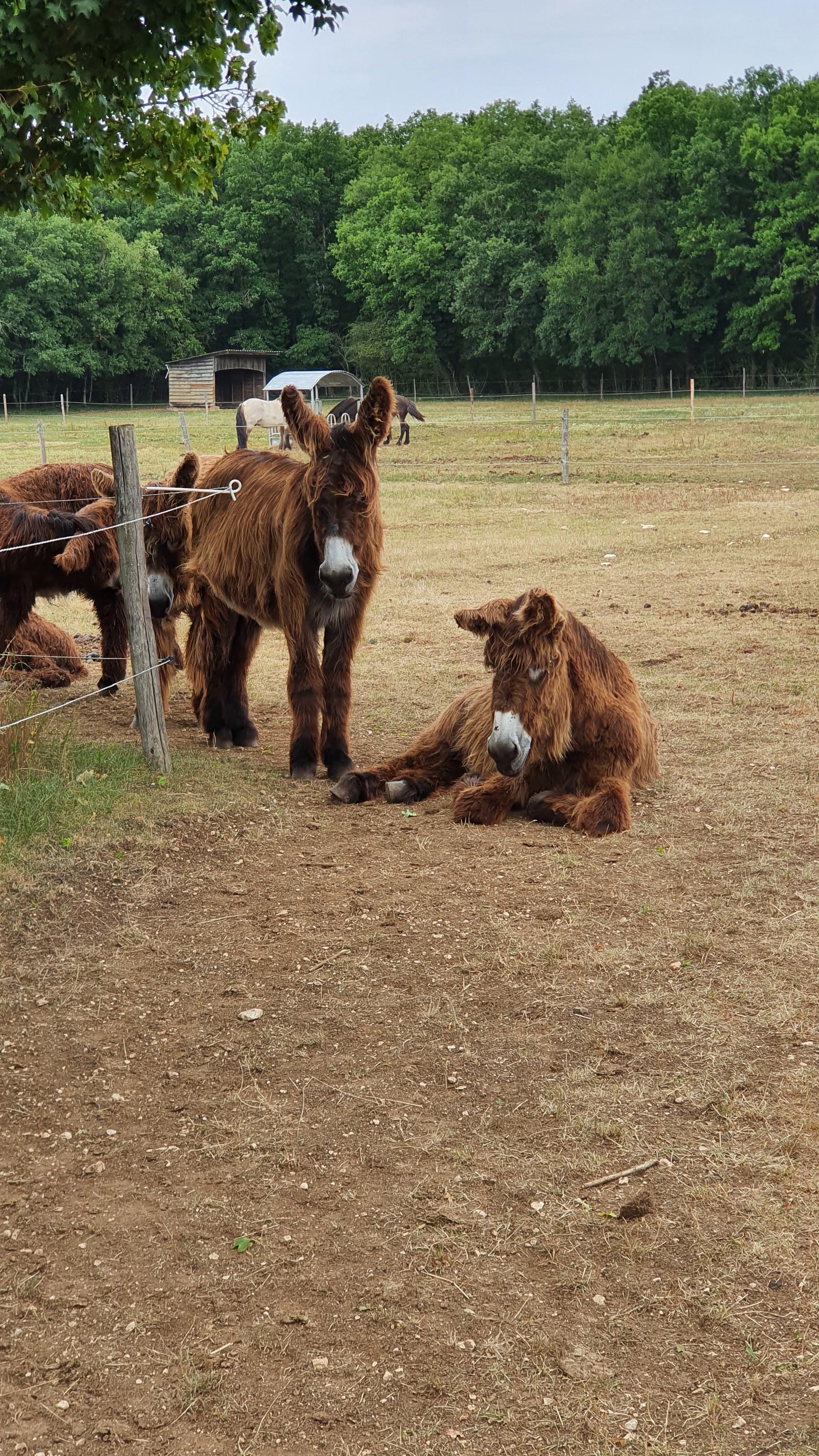 Photo n° 1 de l'avis de Fabien.u fait le 16/08/2022 à 06:29