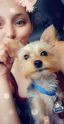 Pet Supply Store «Petco Animal Supplies», reviews and photos, 1704 US Hwy 27 S, Sebring, FL 33870, USA