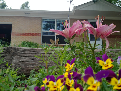 Supermarket «Walmart Neighborhood Market», reviews and photos, 10755 Washington St, Northglenn, CO 80233, USA