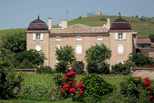 Caveau du Château de Fleurie à Fleurie