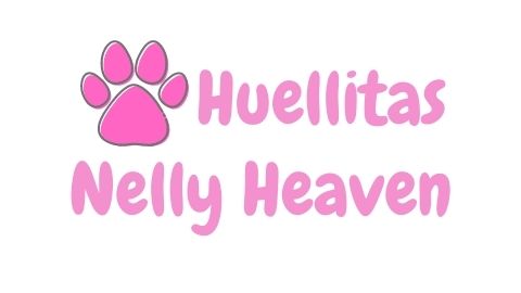 Opiniones de "Peluquería canina en Valdivia Nelly Heaven" en Valdivia - Peluquería