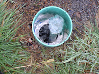 Dave's Septic Services Maintenance & Monitoring LLC - Photo 2 - Car repair in , Bremerton