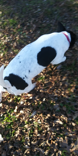 Park «Glendale Park», reviews and photos, 1515 E Ledbetter Dr, Dallas, TX 75216, USA