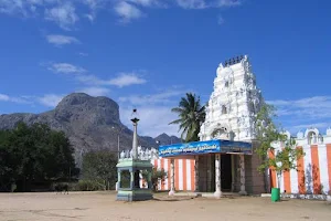 Palamalai Aranganathar Temple image