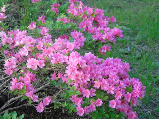 Memorial Park «Governor John Notte Memorial Park», reviews and photos, 1801 Douglas Ave, North Providence, RI 02904, USA