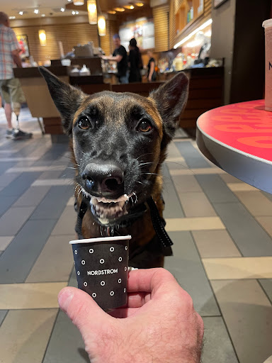 Department Store «Nordstrom Fashion Place», reviews and photos, 6191 S State St, Murray, UT 84107, USA