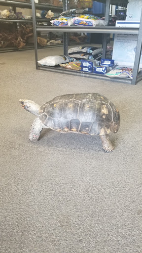 Pet Store «Simply Pets», reviews and photos, 1977 S Military Hwy, Chesapeake, VA 23320, USA