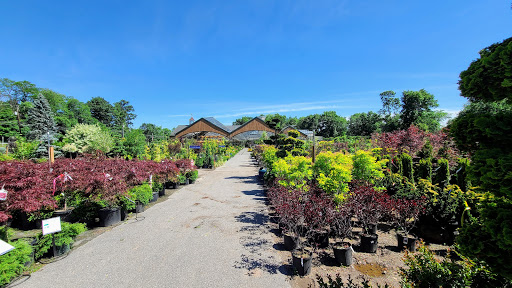 The Garden Barn Nursery & Landscape