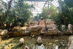 Bayan Botanical Garden image