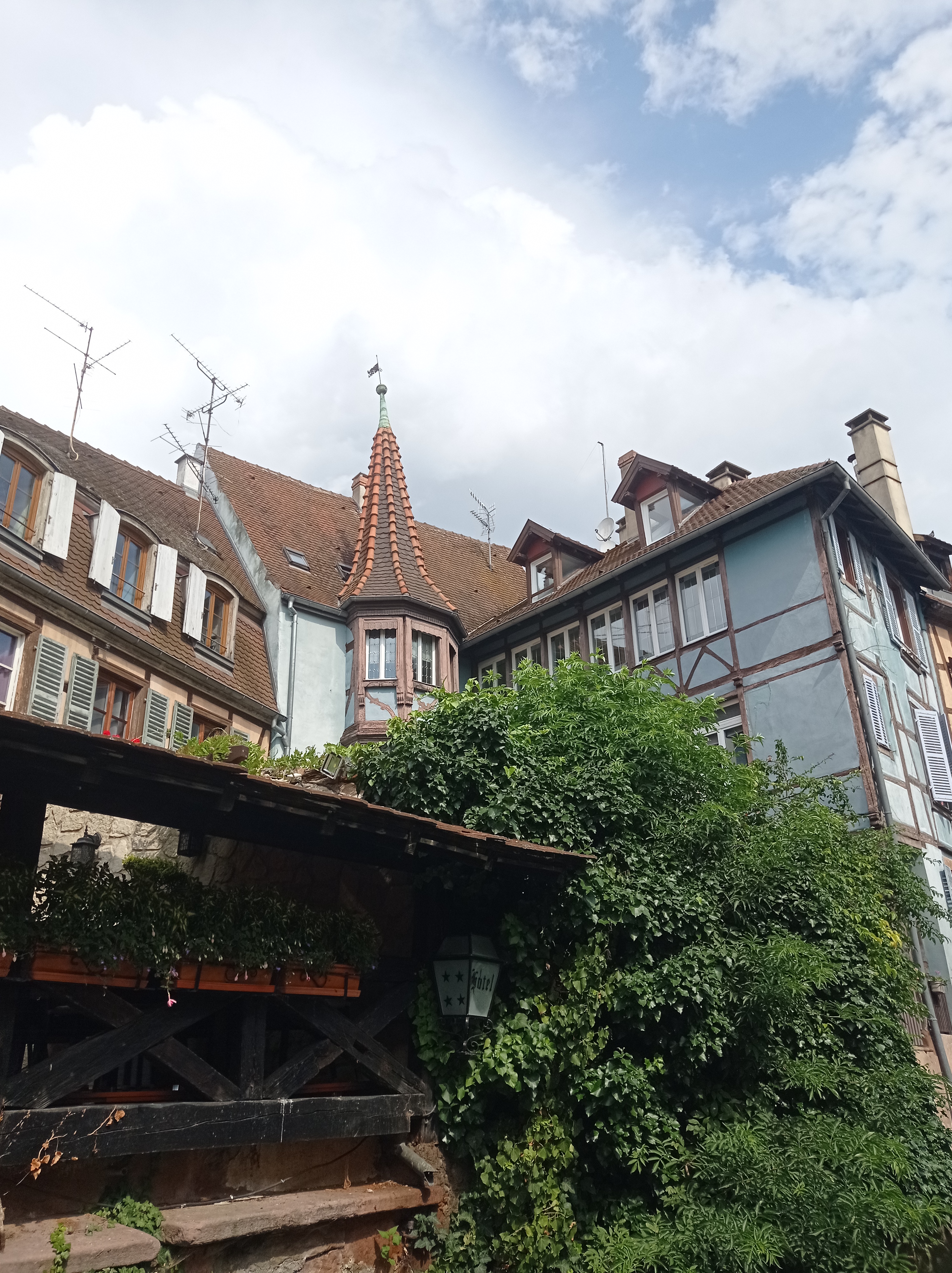 Photo n° 15 de l'avis de Arnaud. fait le 26/07/2021 à 15:04