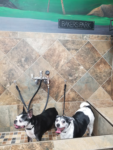 Pet Supply Store «Pet Valu», reviews and photos, 1305 West Seventh Street #28, Frederick, MD 21702, USA