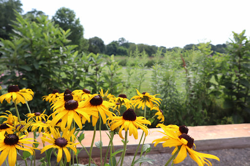 Educational Institution «The Audubon Society of Rhode Island Environmental Education Center», reviews and photos, 1401 Hope St, Bristol, RI 02809, USA