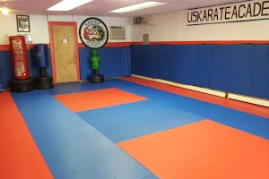 US Karate Academy image