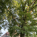 Photo n°6 de l'avis de Tanina.� fait le 05/06/2023 à 04:59 sur le  Schlossgut Odelzhausen à Odelzhausen