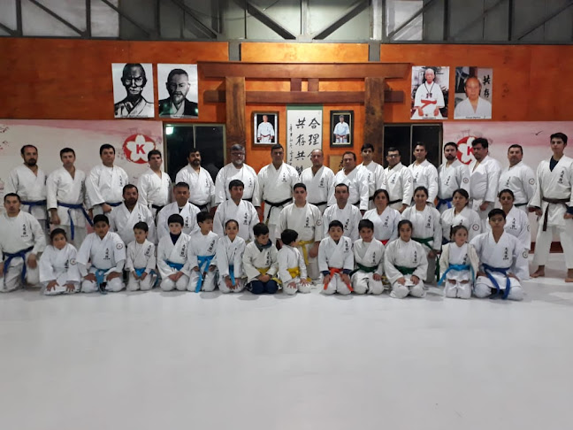 Opiniones de Miyazato Dojo Linares Chile. en Linares - Escuela