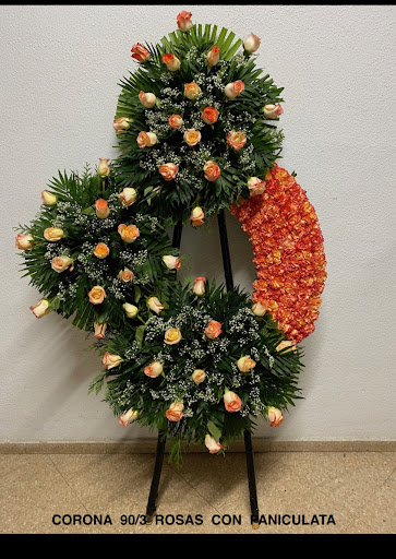 Funeraria baronia s.l en Valencia