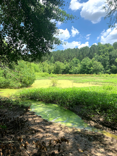Nature Preserve «Clyde Shepherd Nature Preserve», reviews and photos, 2580 Pine Bluff Dr, Decatur, GA 30033, USA
