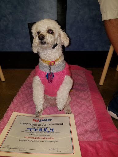 Pet Supply Store «PetSmart», reviews and photos, 5465 Dressler Rd NW, North Canton, OH 44720, USA