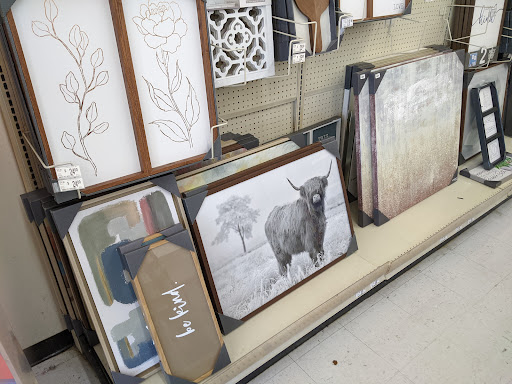 Discount Store «Big Lots», reviews and photos, 5241 US-19, New Port Richey, FL 34652, USA