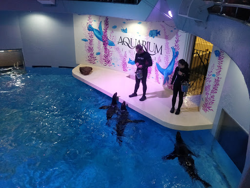 Aquarium «Aquarium of Niagara», reviews and photos, 701 Whirlpool St, Niagara Falls, NY 14301, USA