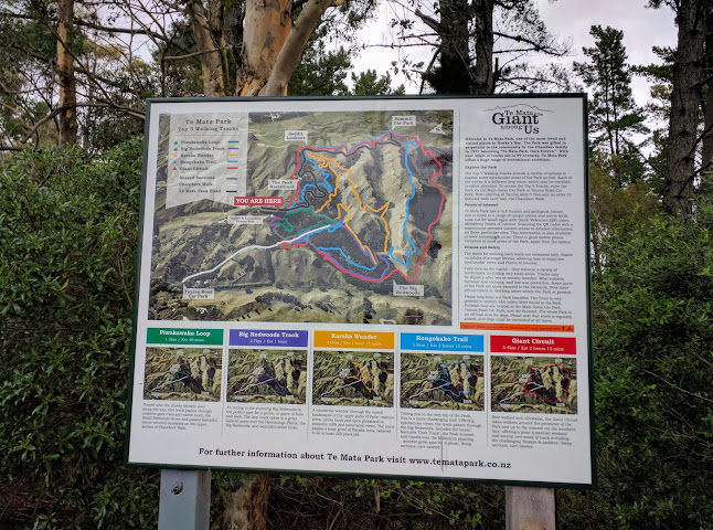 Comments and reviews of Te Mata Park Main Gates Car Park
