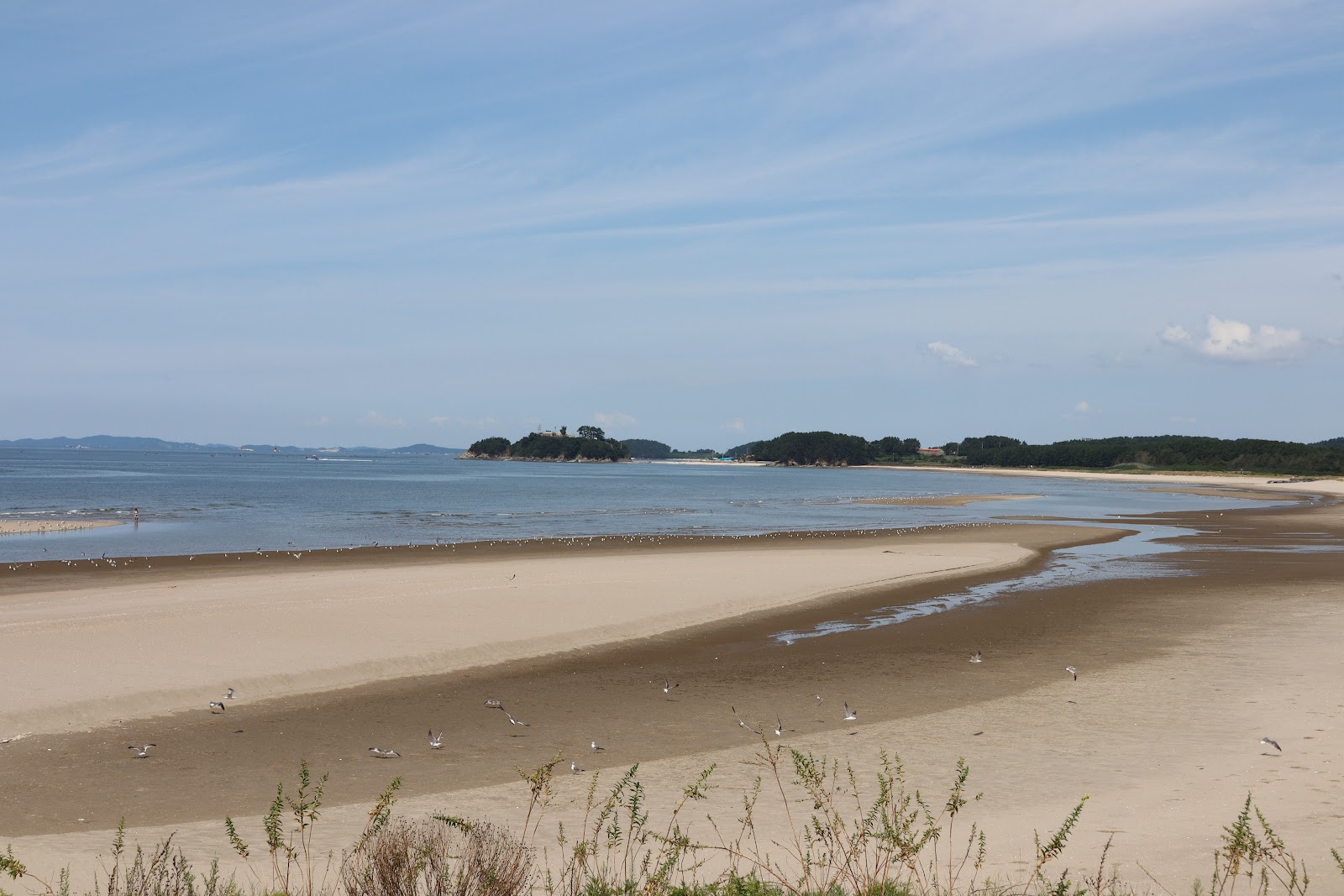 Jangan Beach的照片 带有长直海岸
