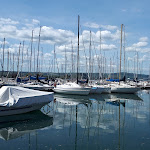 Photo n°7 de l'avis de Alessia.o fait le 15/05/2021 à 18:21 sur le  La Panetteria Capodimonte à Capodimonte