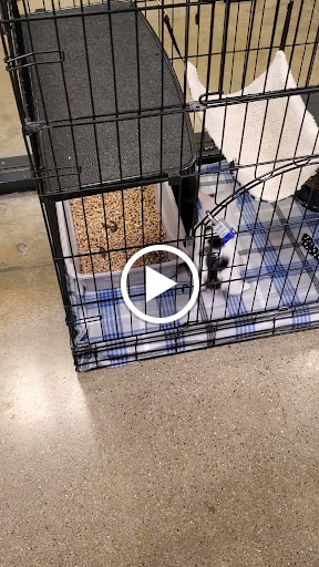 Pet Supply Store «PetSmart», reviews and photos, 1945 Pavilion Way, Lexington, KY 40509, USA