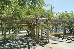Parque dos Cajueiros image