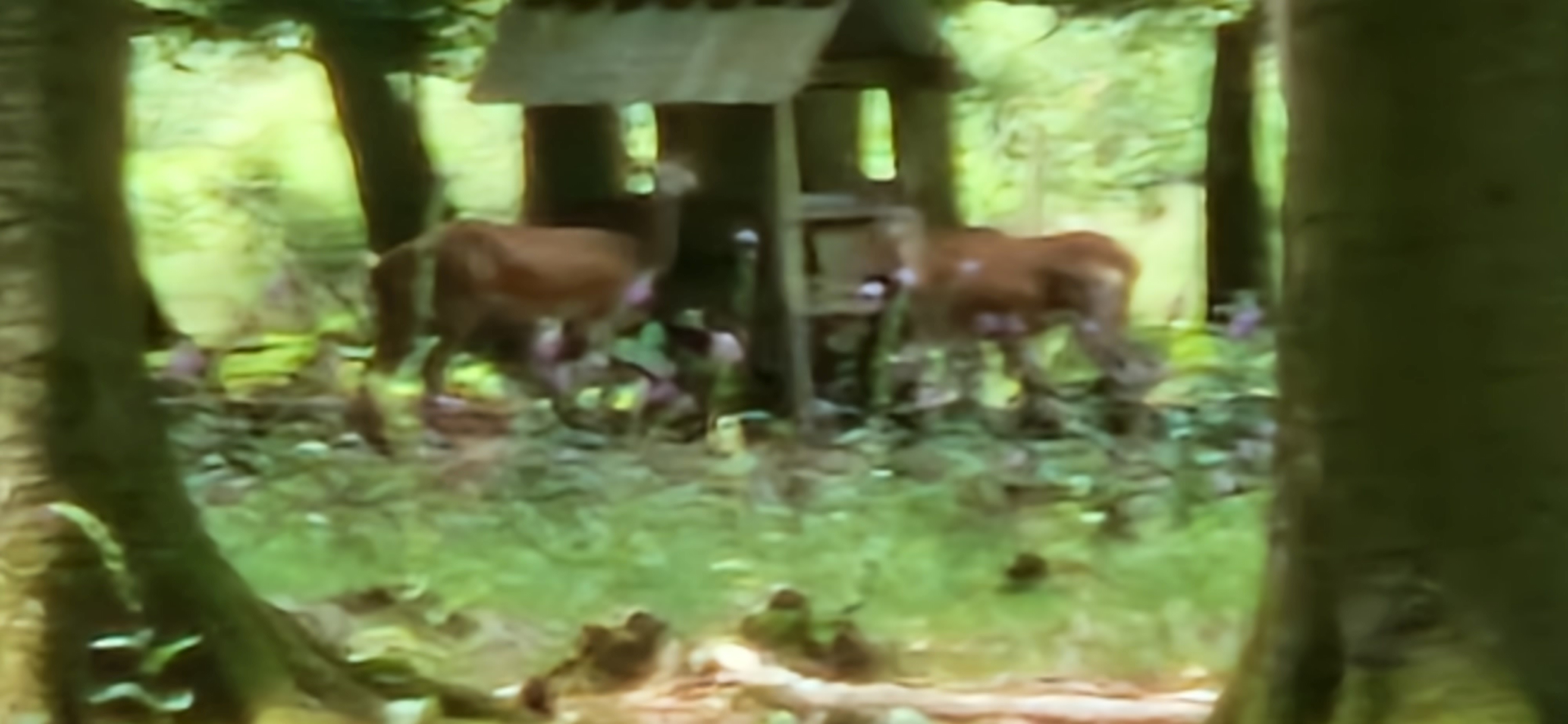 Photo n° 1 de l'avis de Angélique.e fait le 07/07/2023 à 15:46